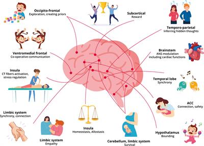 Therapeutic Alliance as Active Inference: The Role of Therapeutic Touch and Synchrony